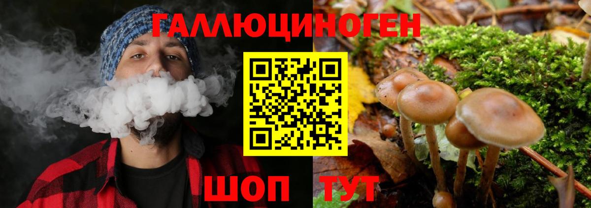 Батайск  Псилоцибиновые грибы Psilocybine cubensis  Вход с VPN 